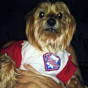 Meet your Posher, Ellis